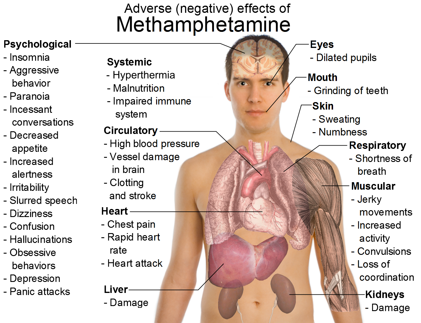 Enlarged Liver Symptoms Liver Pain Pictures Wallpapers