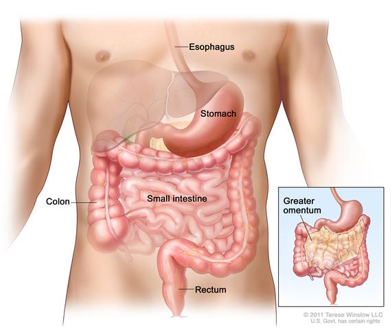 Liver Cancer Causes Symptoms Treatment Liver Cancer Pictures Pictures Wallpapers Liver Cancer Causes Symptoms Treatment Liver Cancer Pictures Pictures Wallpapers