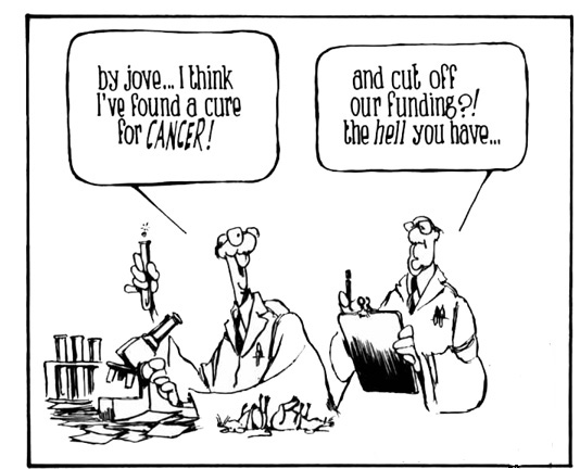 What Causes Fatty Liver Disease Healthy Liver And Cancer Pictures Wallpapers