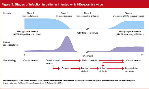 figure 3 living in the liver hepatic infections nature VsdR