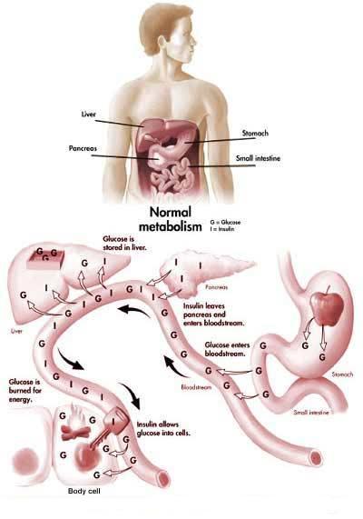 Nursing Diagnosis Nutrition Pictures Wallpapers