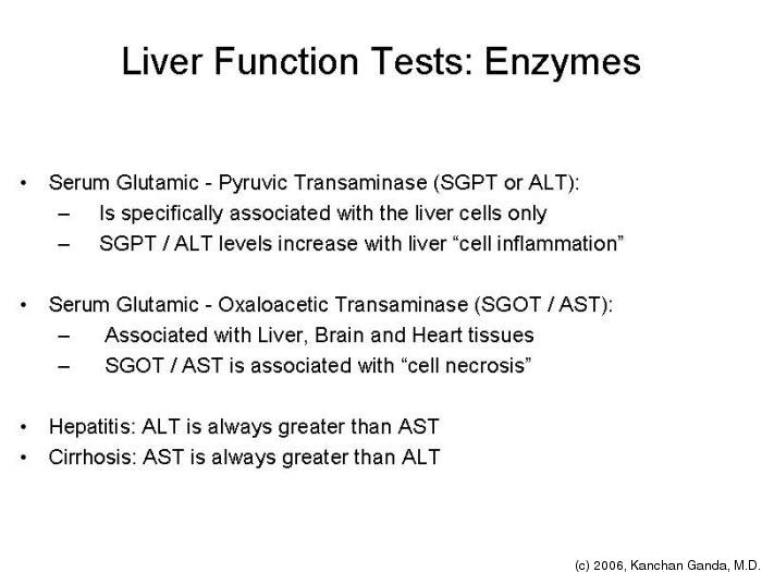 Liver Enzyme Pictures Wallpapers