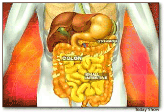 Liver And Gallbladder Pictures Wallpapers