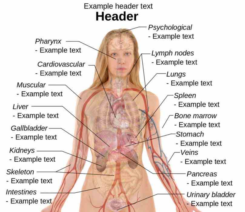 External Part Of Human Body Pictures Wallpapers
