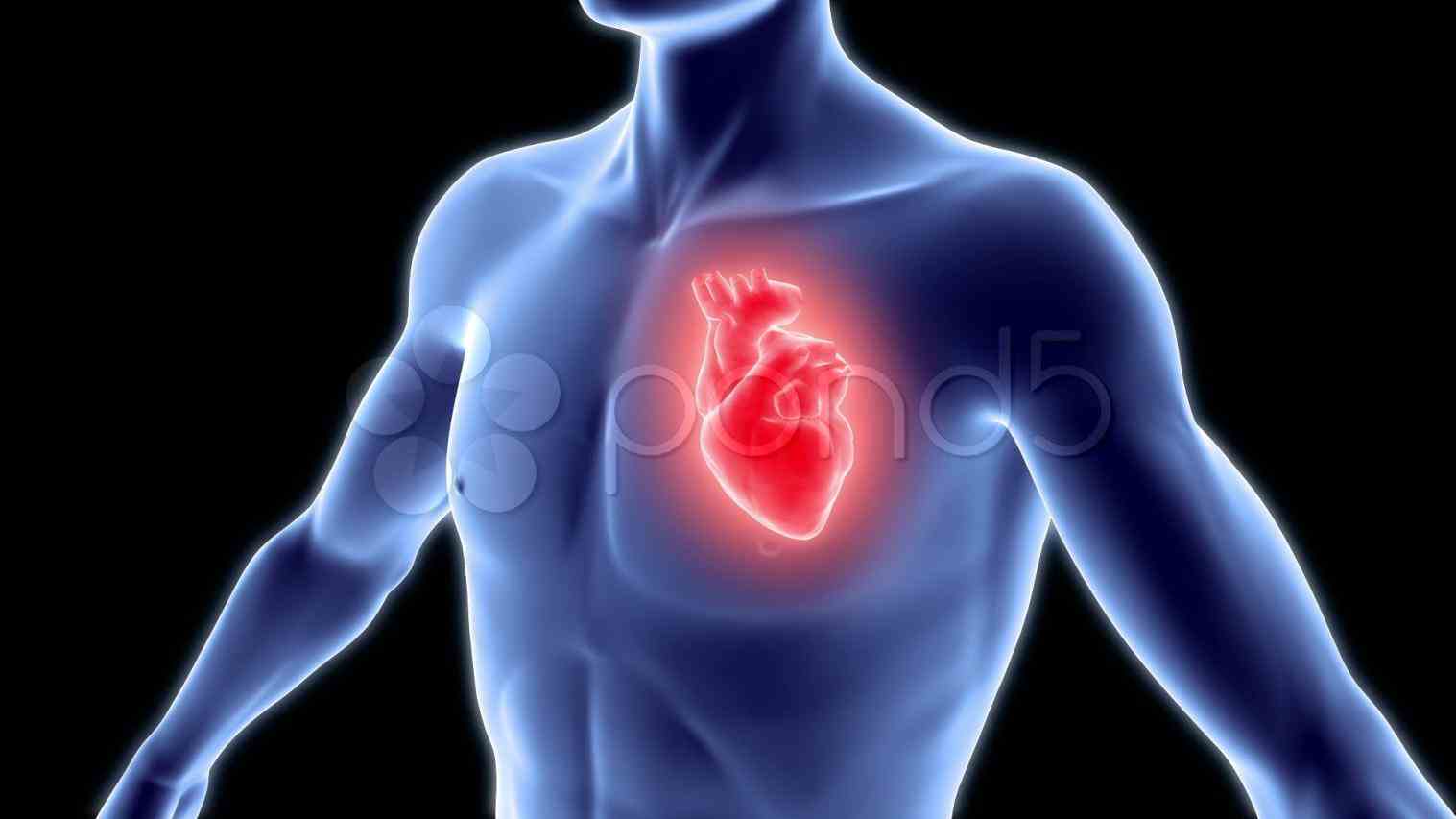 Other Picture of Image Of Heart In Human Body.