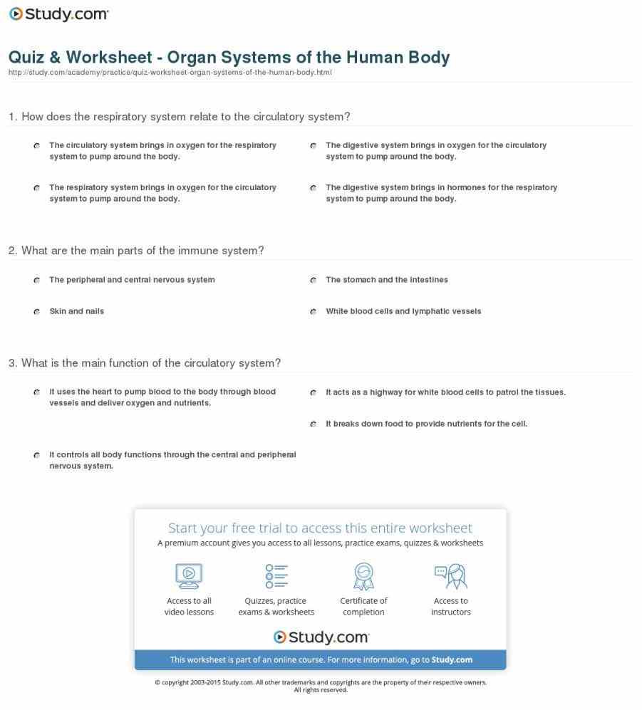 up of antibodies white blood cells and other  start Immune System Function And Organs studying immune system function and